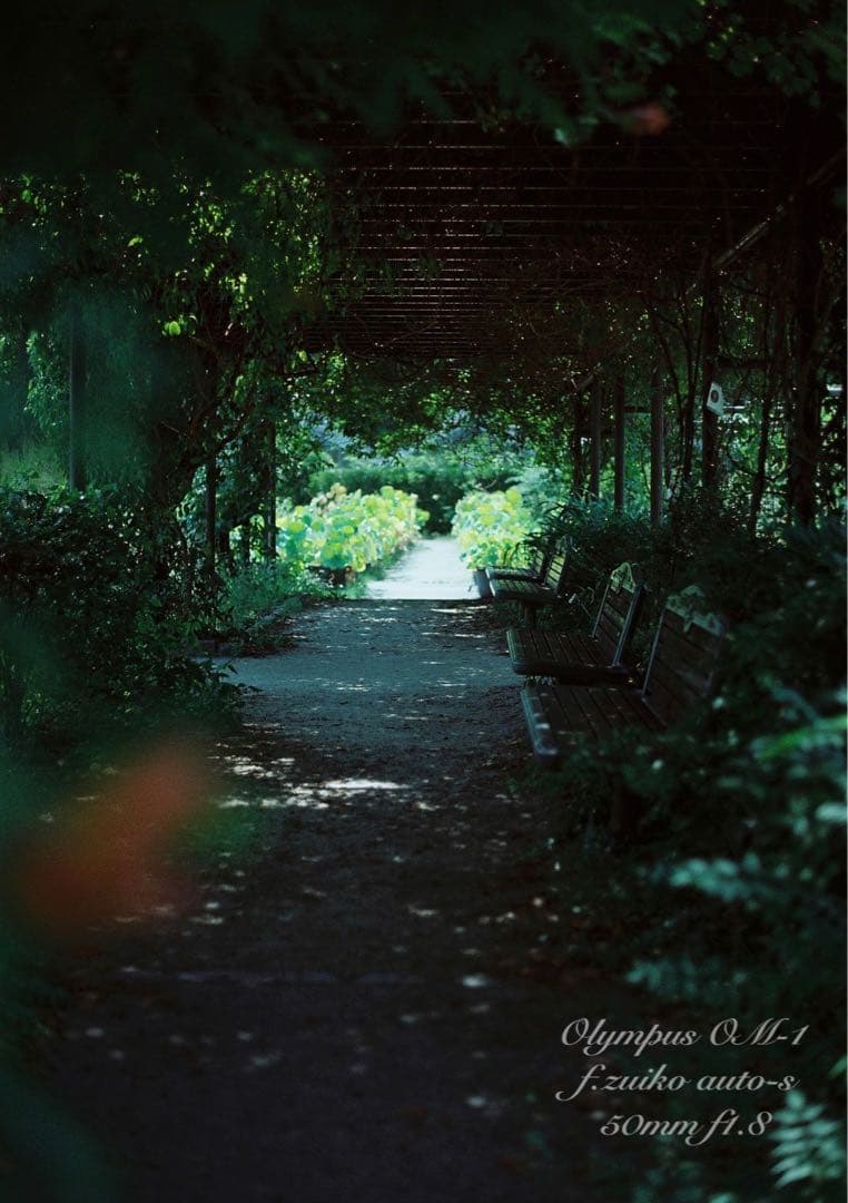 ★完動品＊美品＊初期保証★OM-1 &レンズf1.8★リザード本革外装★作例多数