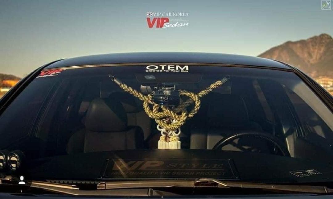 金綱大+ふさ白菊大　本物　ジャンクションプロデュース