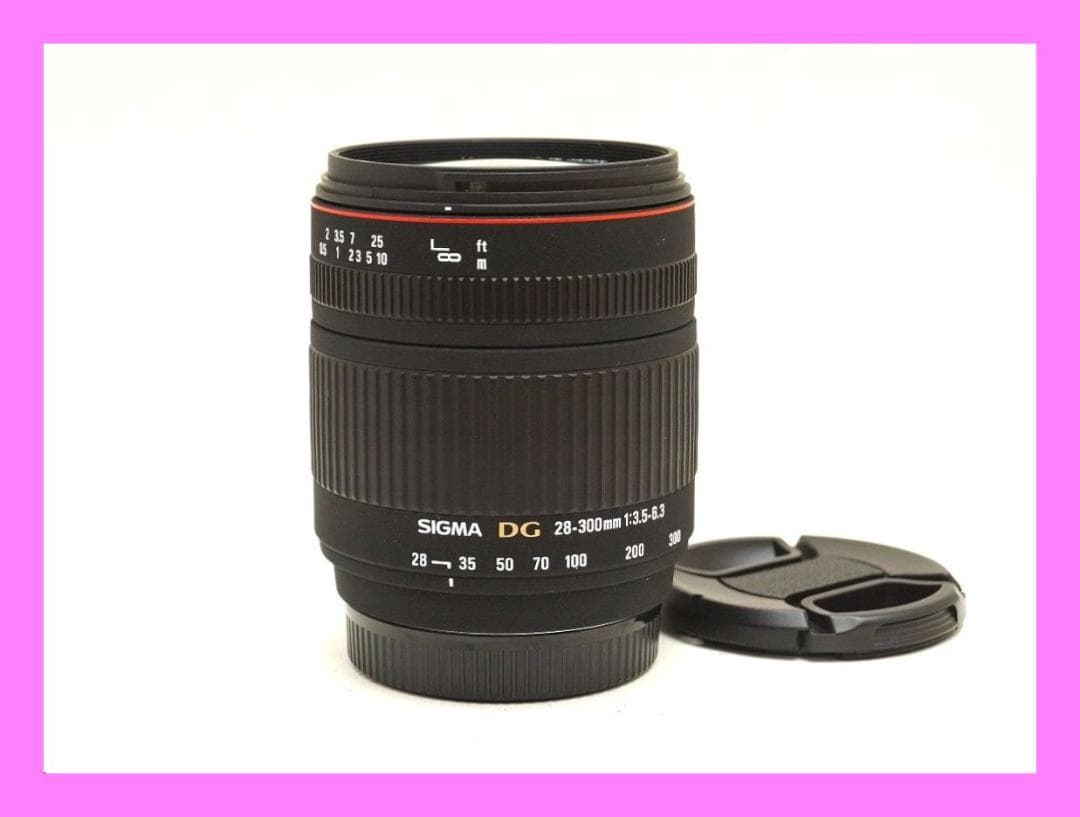 ■ソニー用　SIGMA 28-300mm F3.5-6.3 DG MACRO