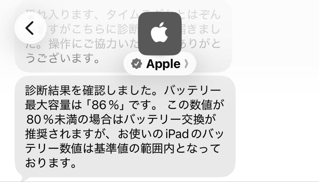 IPad Pro 11インチ第ニ世代 256gb Apple pencil