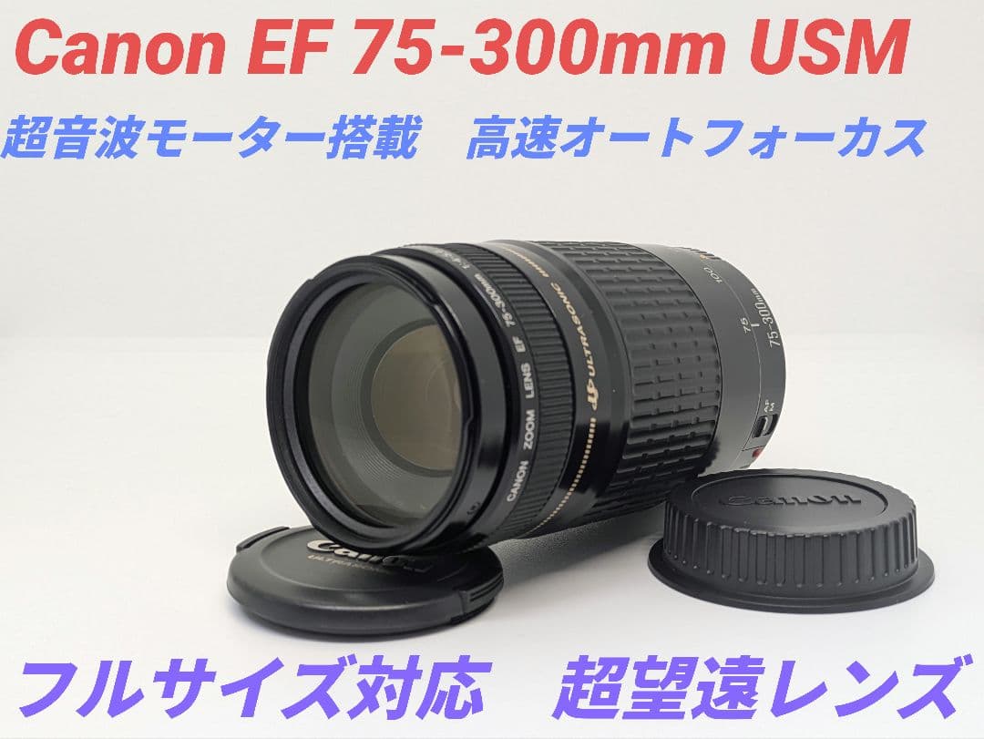 1月27日限定価格【超望遠レンズ】Canon EF 75-300mm USM