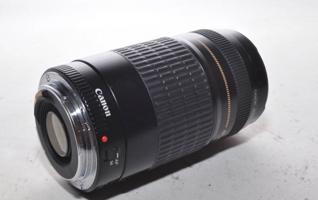 望遠レンズ/イベント/スポーツ/キヤノン/Canon EF75-300㎜