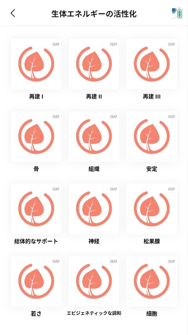 【新品未使用•未開封】定価558,800円　ヒーリープロフェッショナル＋コイル