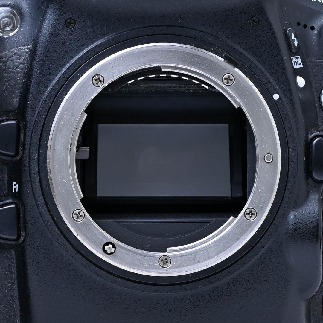 Nikon D800 67500ショット