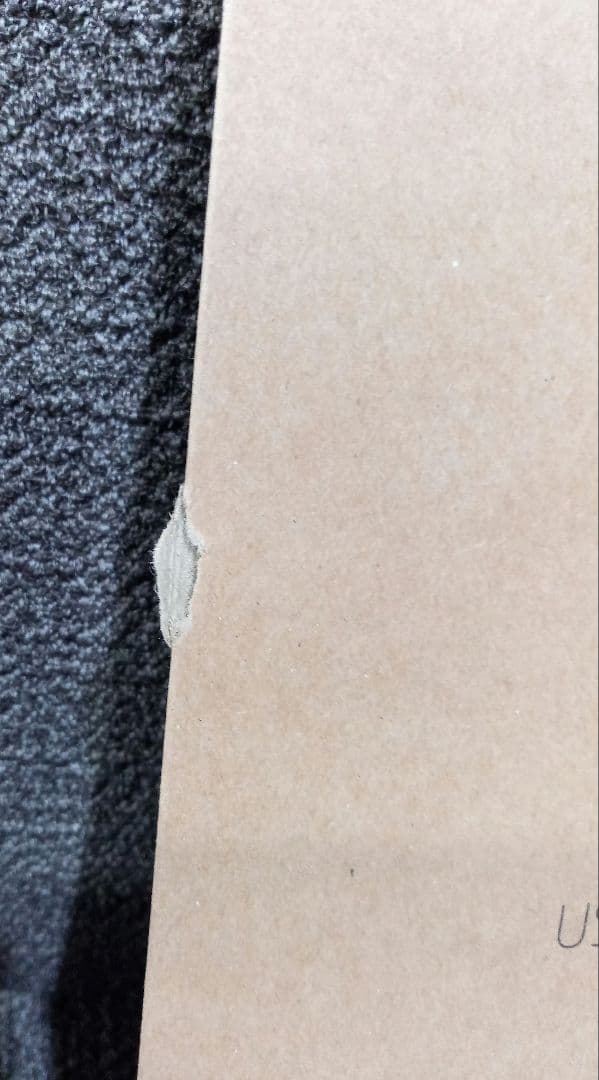 未使用　Hurom　スロージューサー　H310A　ベージュ　2025年製