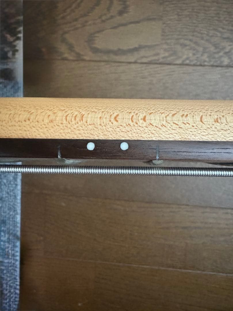 Ibanez GIO エレキベース（バッグ付き）