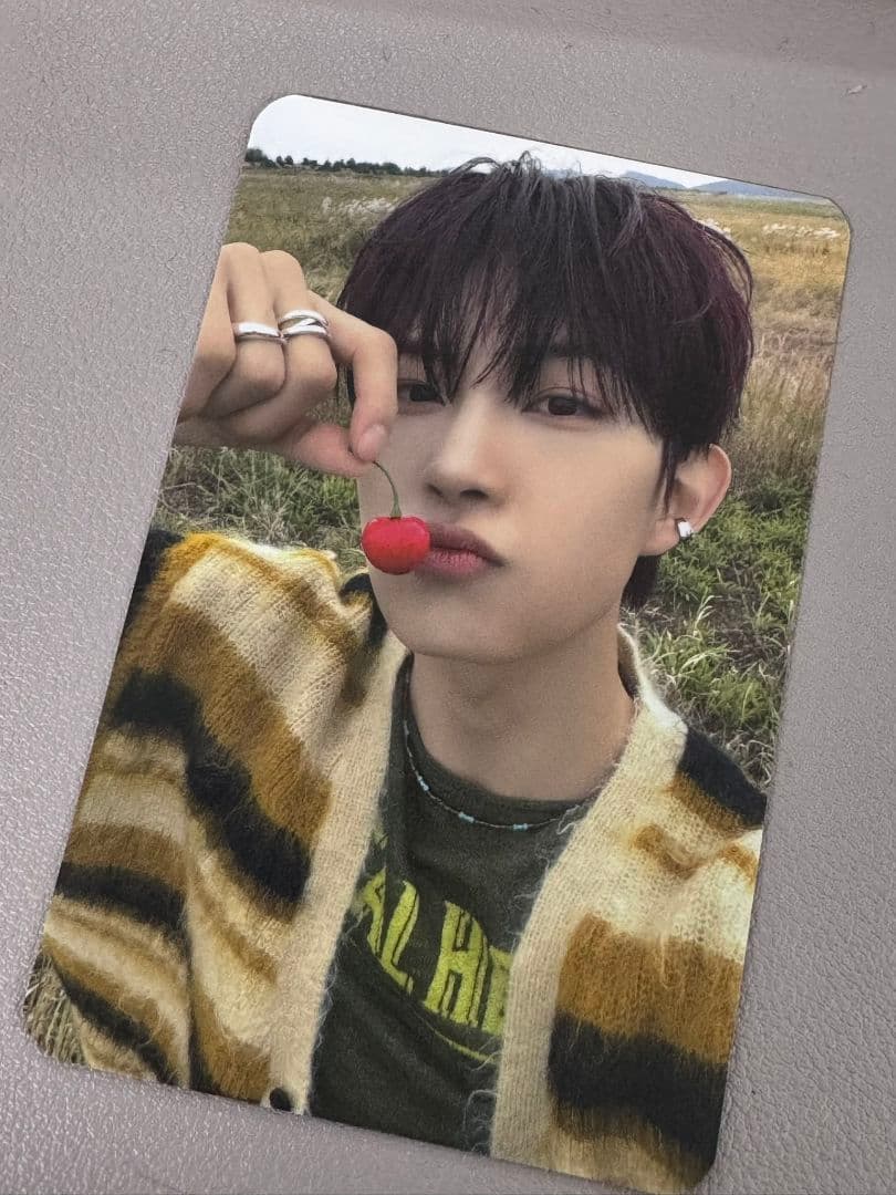 韓国　Alphadriveone　ALD1　サノク　ゴヌ　トレカ