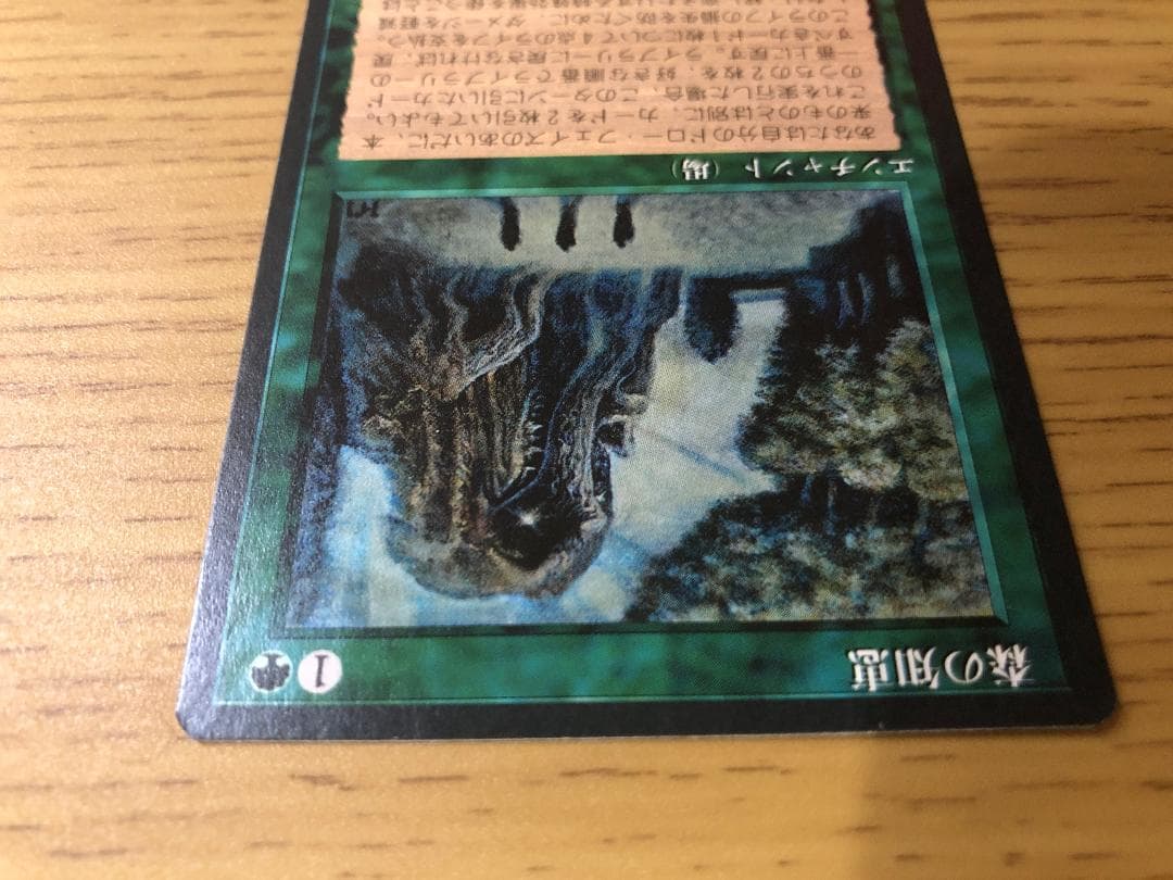 第4版 日本語黒枠フルコンプリートセット 4EDBB 極楽鳥 魔力の櫃 森の知恵