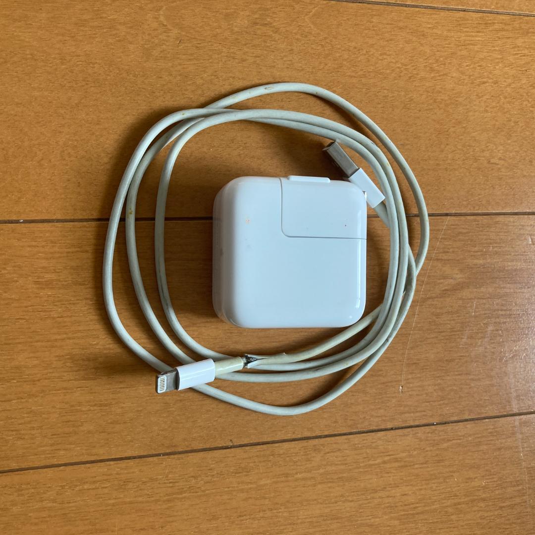 iPad本体 iPad Pro 256GB Wi-Fi + Apple Pencil