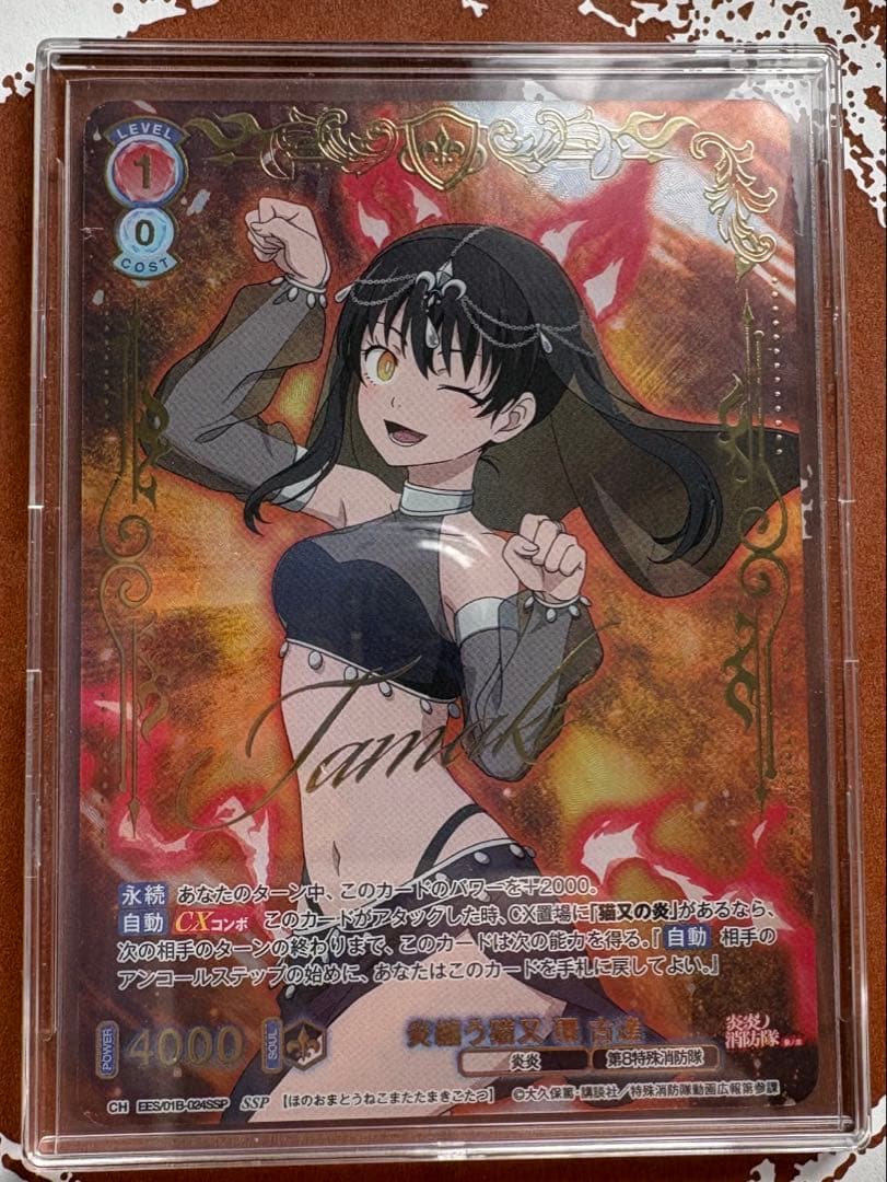 p*様 SSP 炎纏う猫又 環 古達 ヴァイスシュヴァルツブラウ 炎炎ノ消防隊