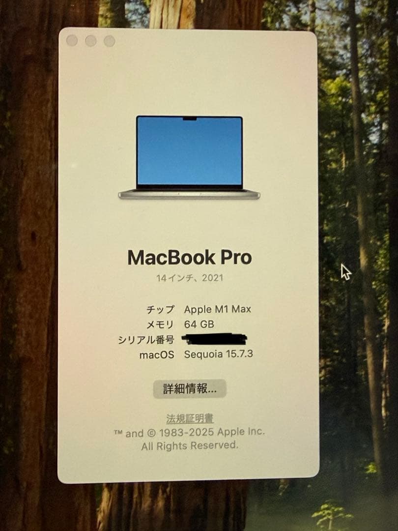 MacBook Pro 14“ M1 Max 64GB JIS