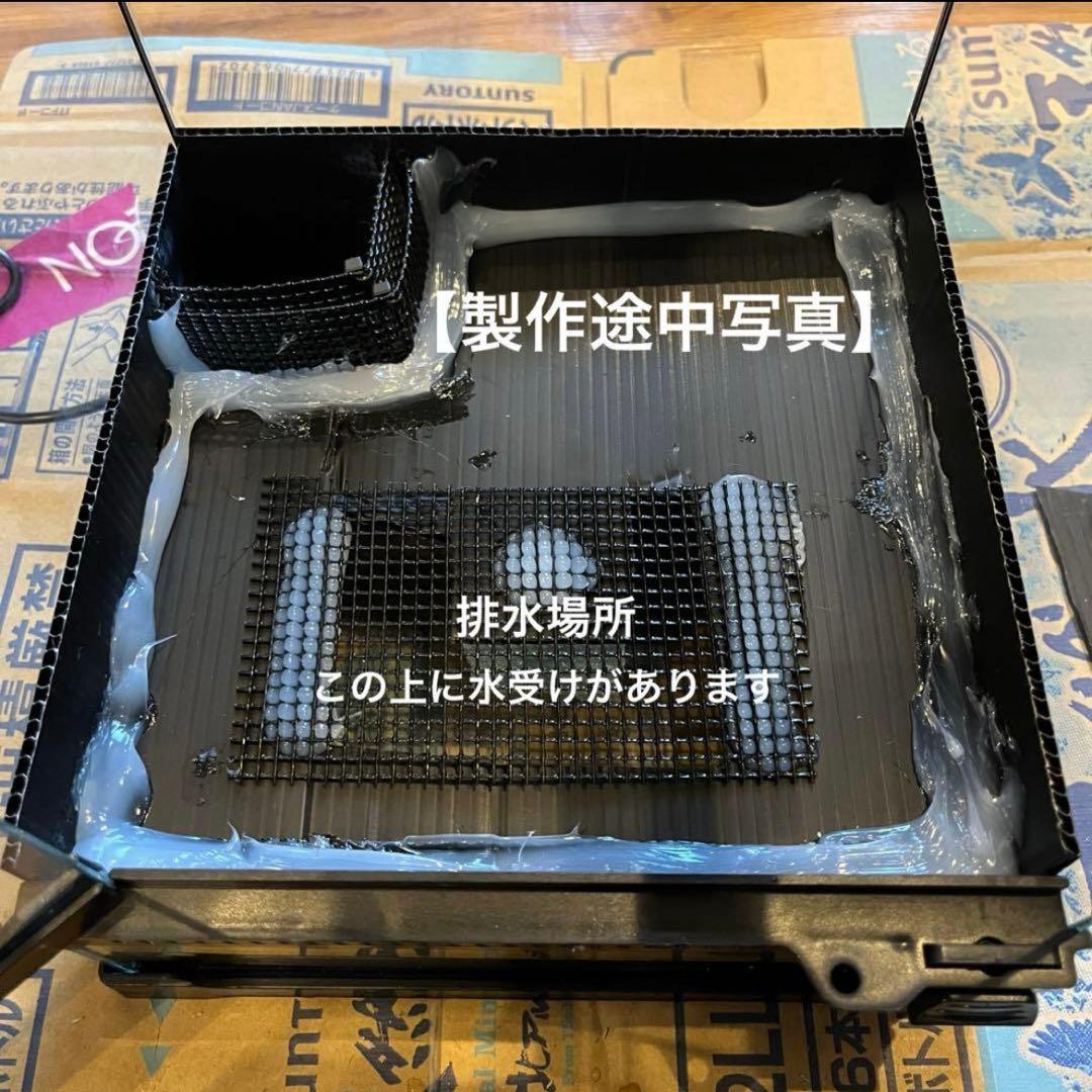 【最終値下げ】レイアウト水槽 イモリウム カエルリウム