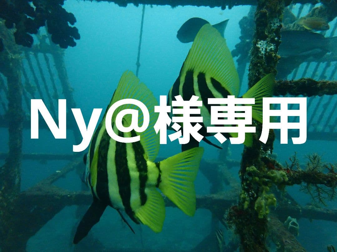 パーツ Ny@