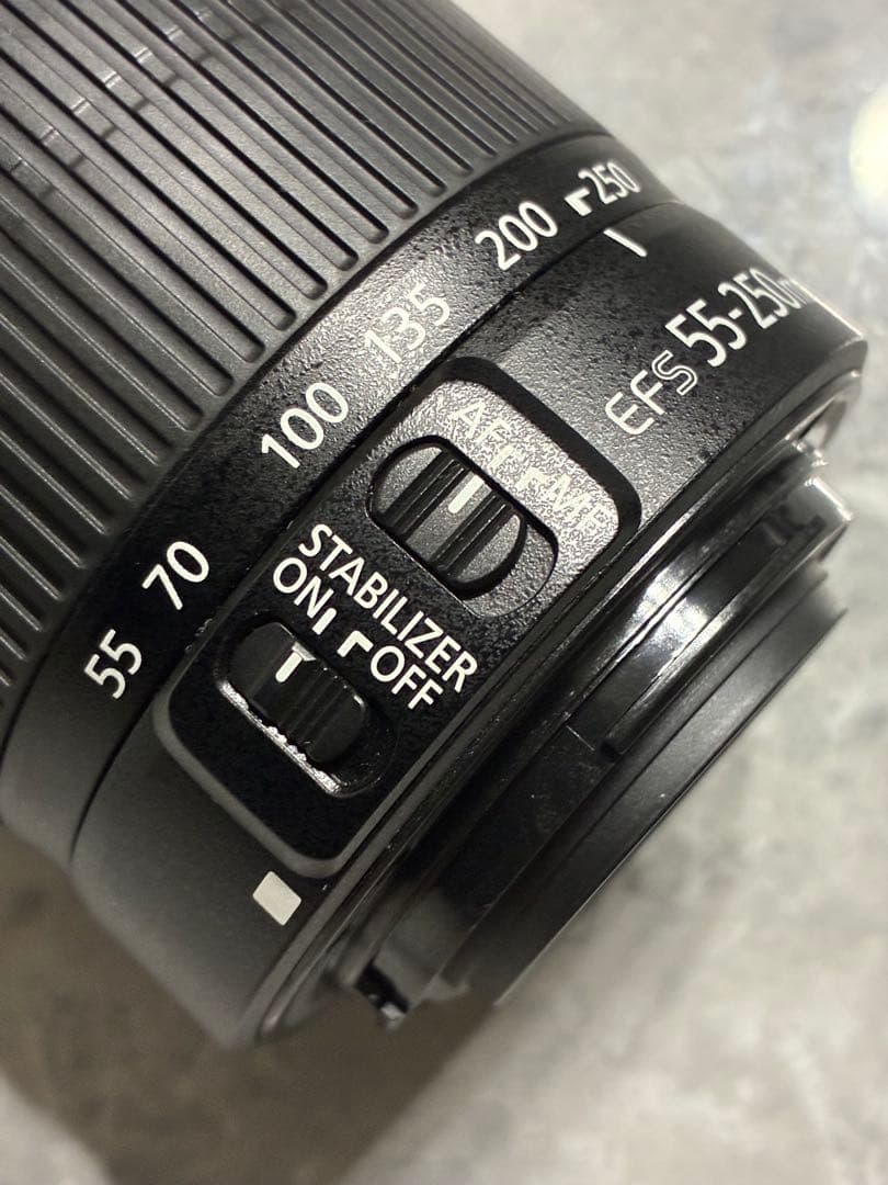 ⭐️極上美品⭐️ Canon EF-S 55-250mm IS II 望遠レンズ