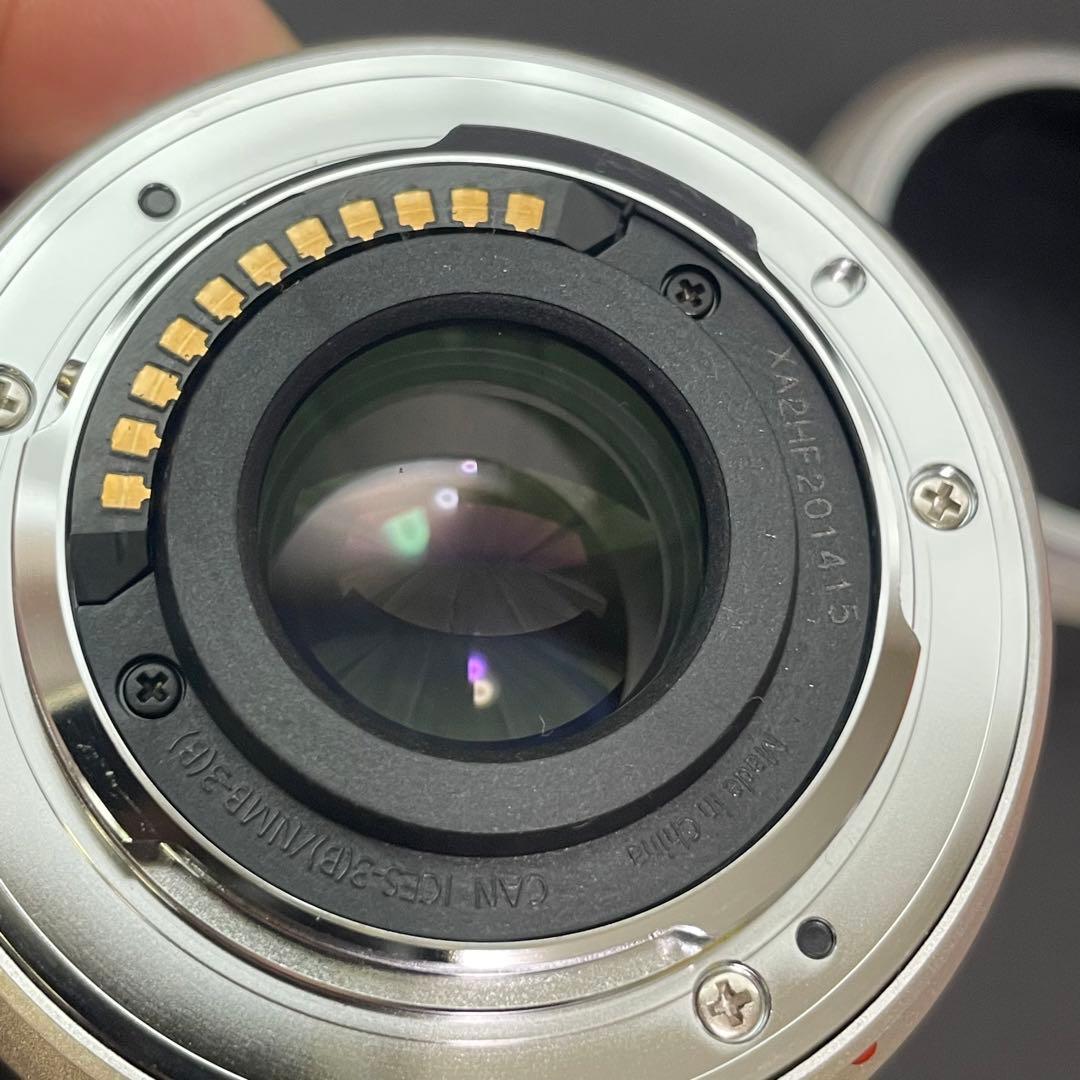 Panasonic DC-GF10W 4Kミラーレス一眼カメラ