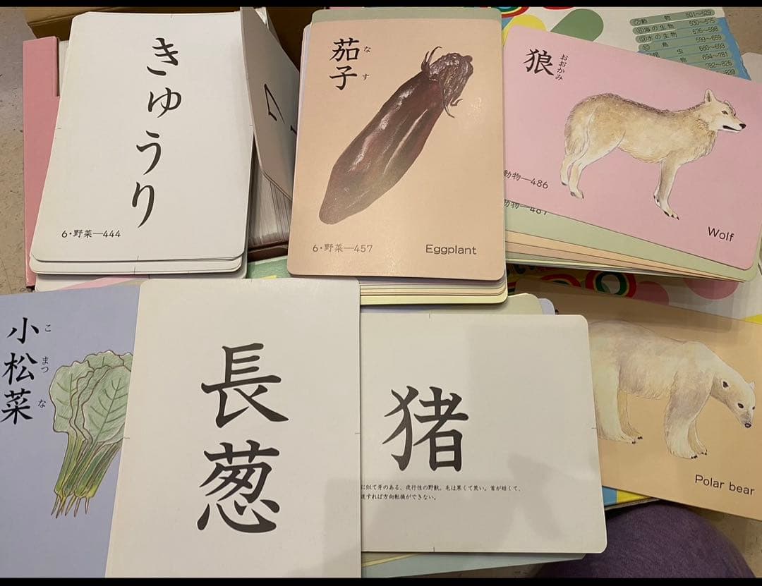 ⭐️家庭保育園　楽しい絵カード1500 CD(翻訳冊子付)セットフラッシュカード⭐️