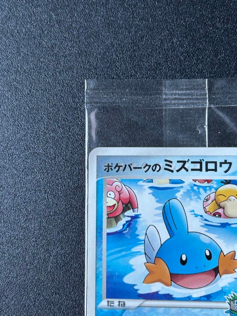 ポケパークのミズゴロウ 未開封