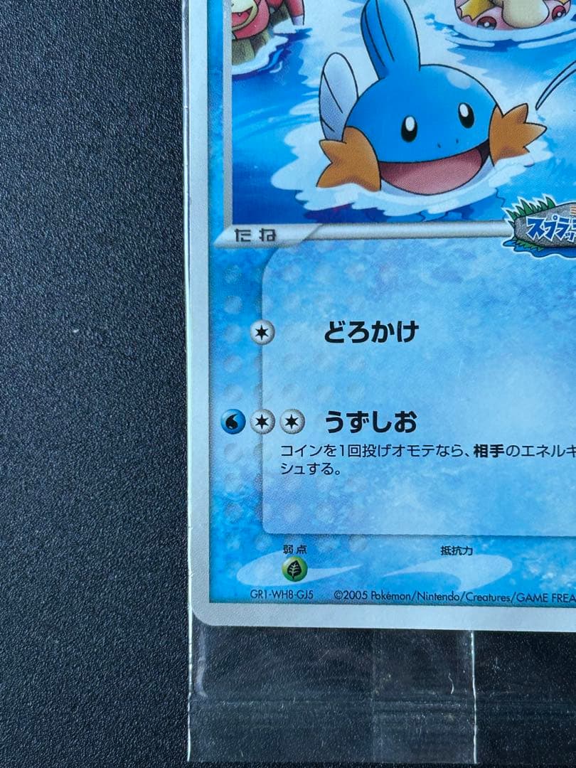 ポケパークのミズゴロウ 未開封