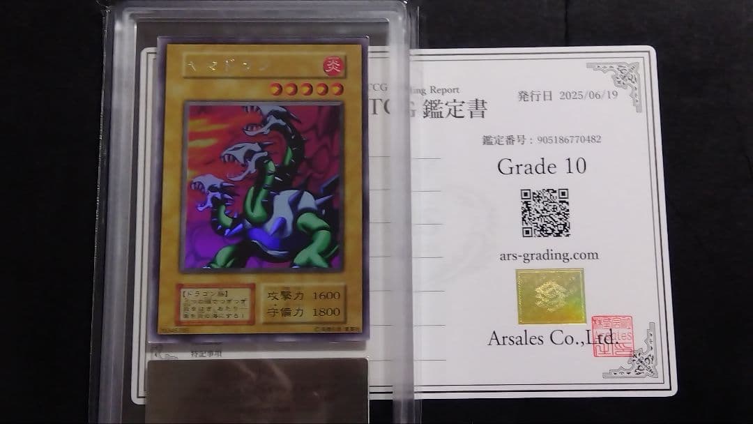 遊*ー様 【ARS10】「ヤマドラン」初期 シークレット LIMITED EDI