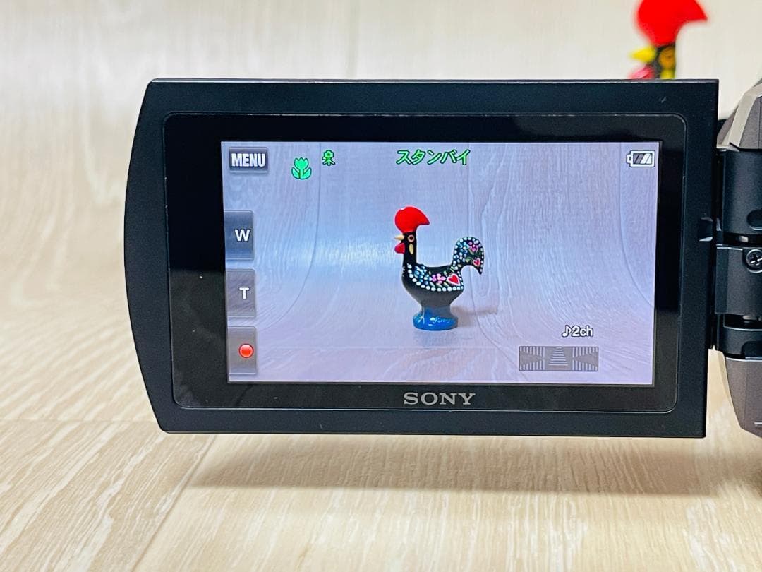 SONY ソニー FDR-AX45A (TI) 空間光学手ブレ補正 感動✨