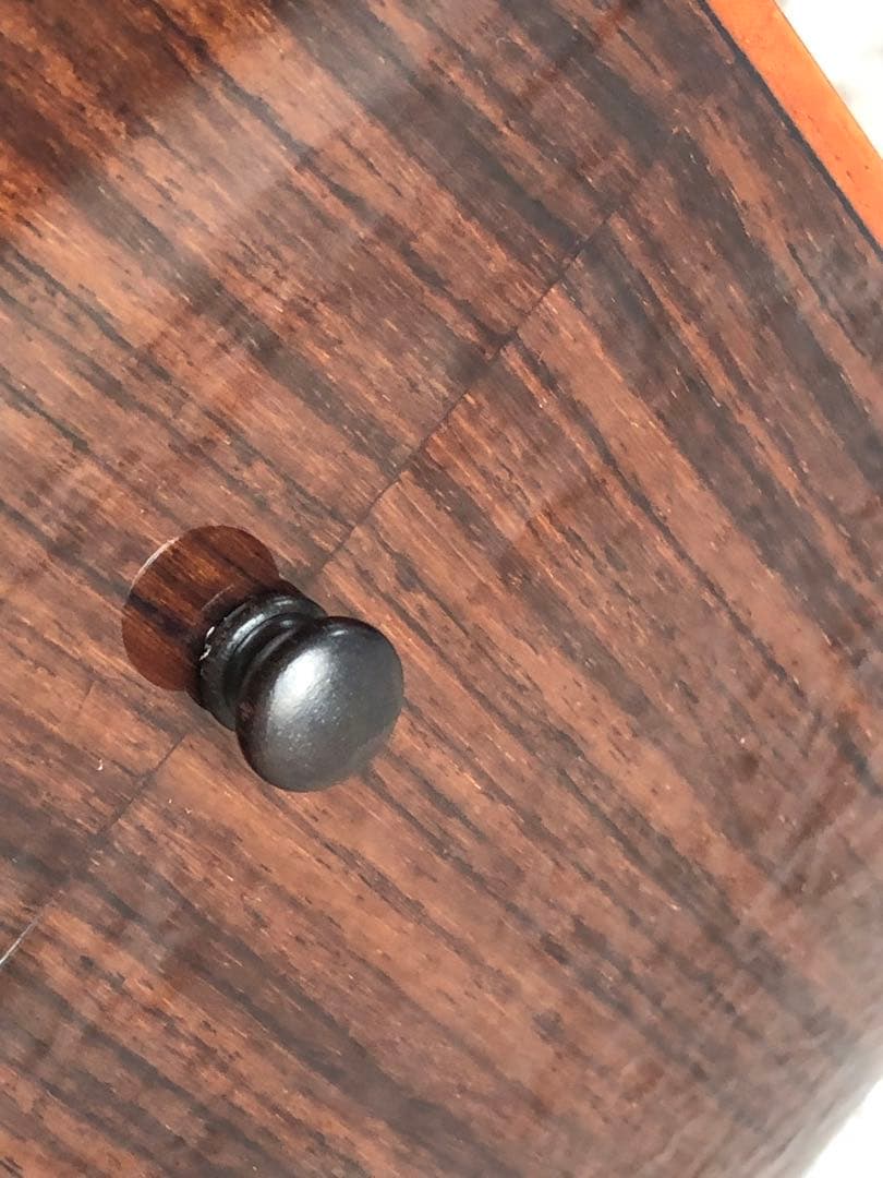 ジェームスJD600VNアコースティックギターハードケース付き