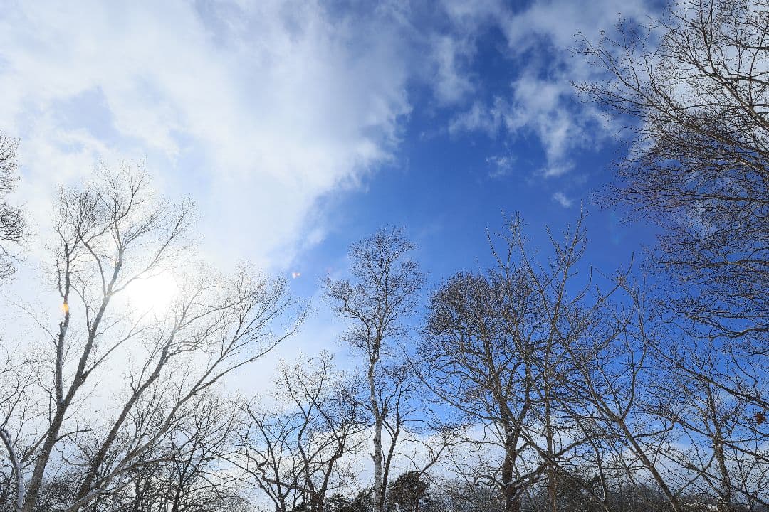 CANON EF 20mm F2.8 USM 【難あり】