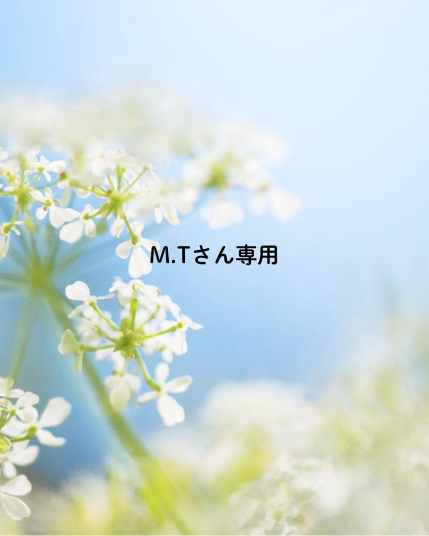 M.Tさん専用