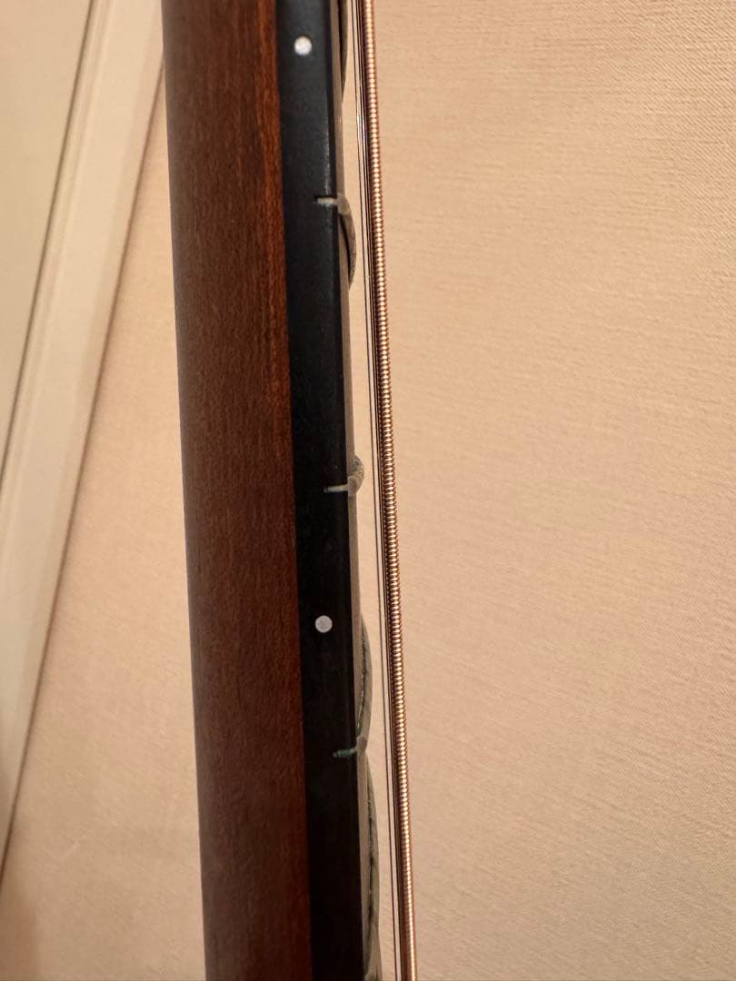 な*こ様 テイラー Taylor 114ce アコースティックギター