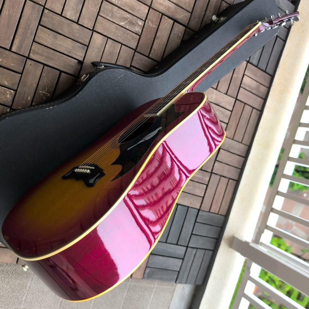 MORRIS ハミングバードDOVE WD−25 チェリーサンバースト！