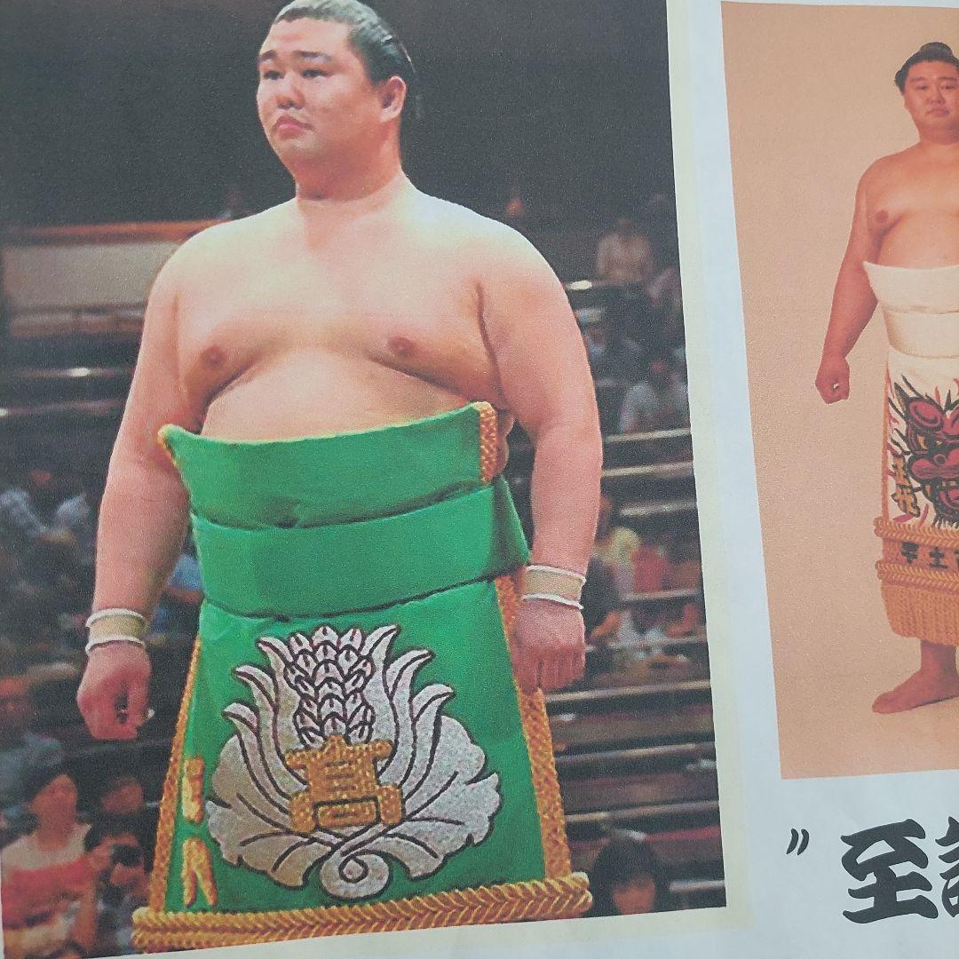 米焼酎 相撲 大関 正代 至誠一貫 しせいいっかん 酒 焼酎 限定品