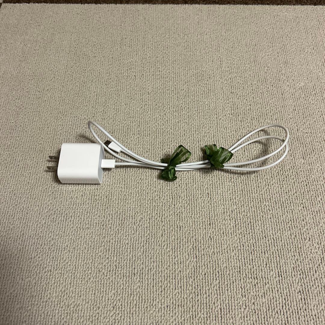 iPad Pro Wi-Fiモデル 256GB ＋ Apple pencil