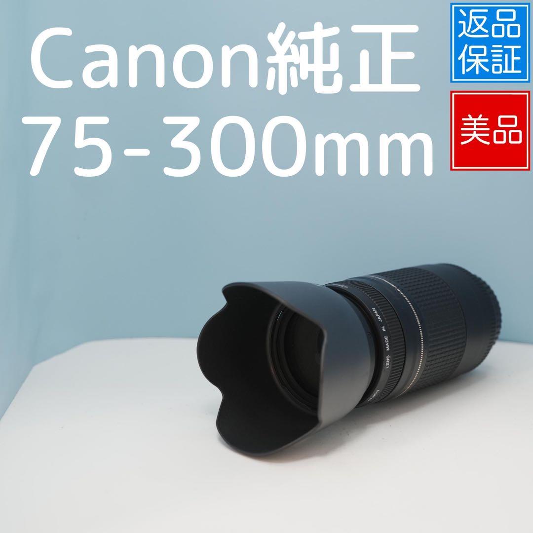Canon純正 75-300mm 望遠レンズ 美品 a3873