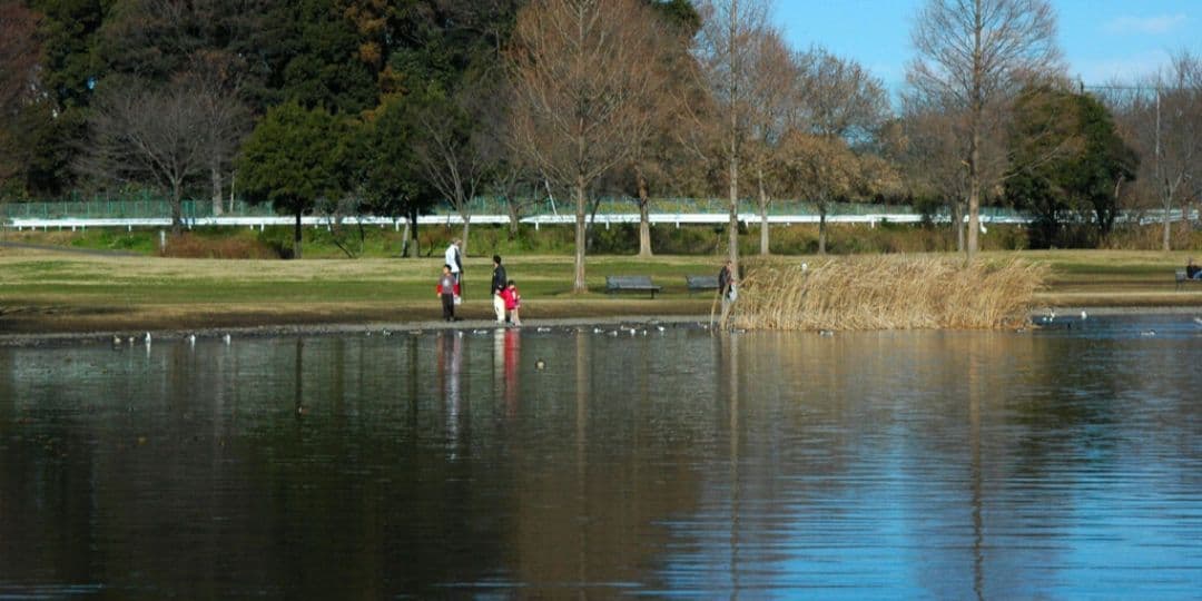 NIKON　D70　ダブルレンズ　初心者⚡️一眼レフ⚡️超望遠⚡️ニコン