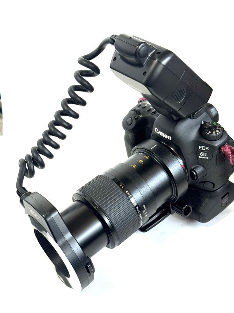 キャノンマクロフォトレンズMP-E65mmF2.8 1-5X