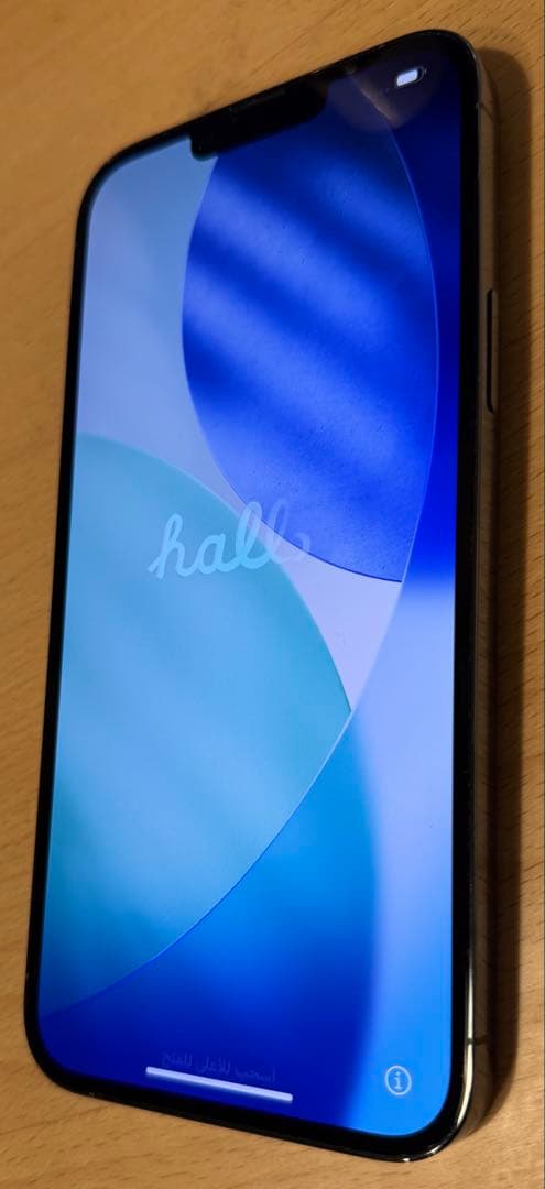 iPhone13 Pro Max 256GB シエラブルー