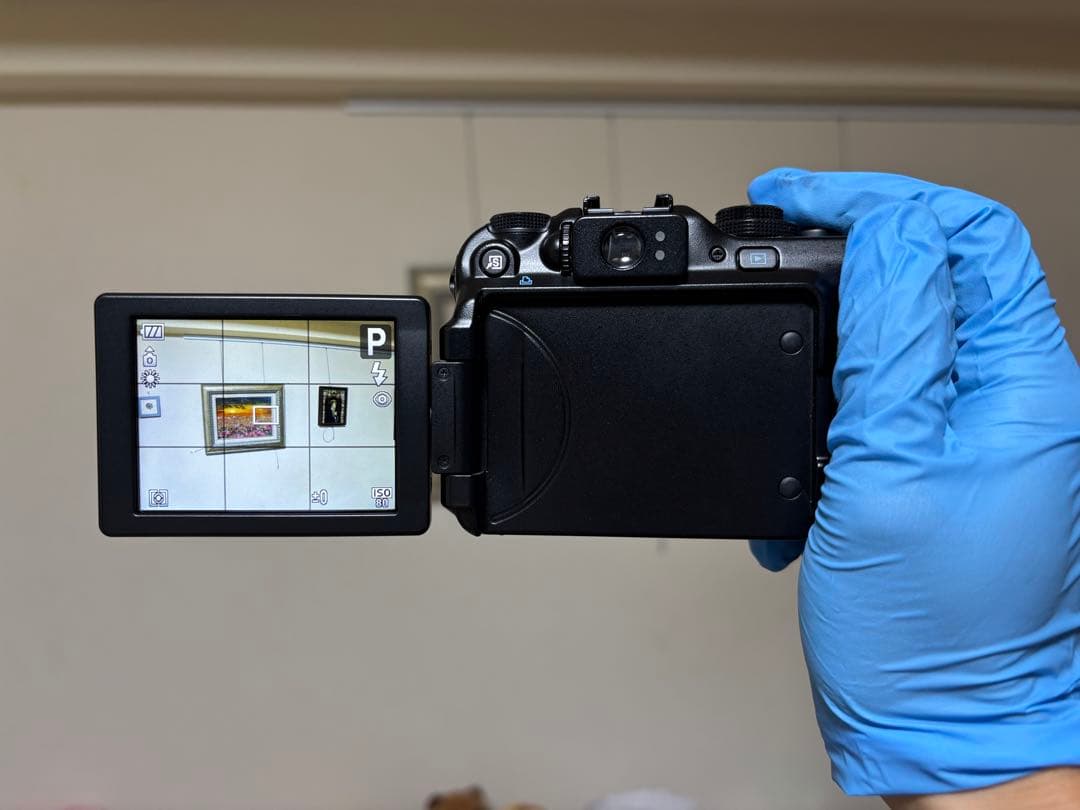 Canon PowerShot G11 動作確認済み 完品