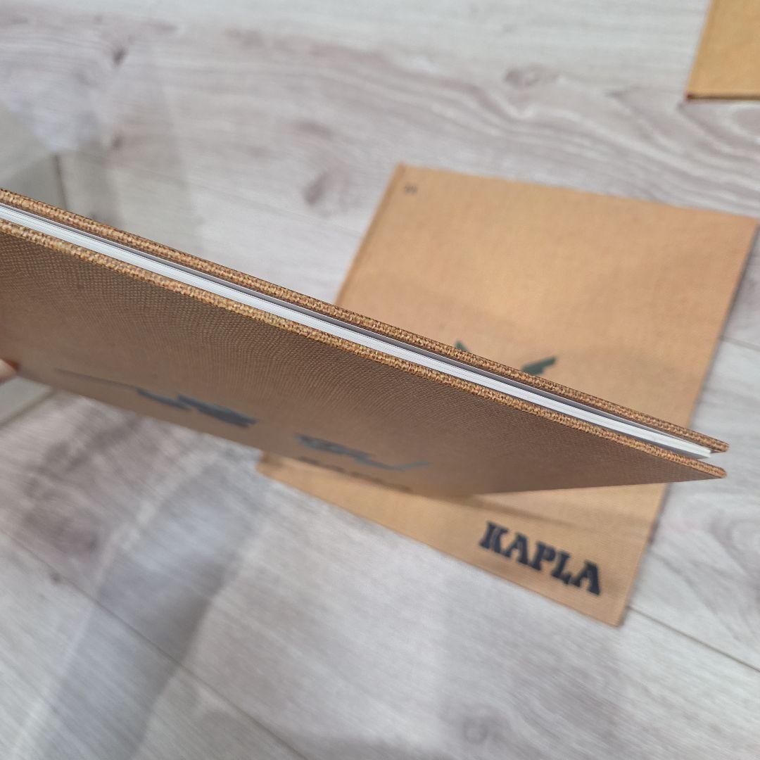 カラーカプラ　カプラ　KAPLA　積み木　120ピース+おまけピース9色