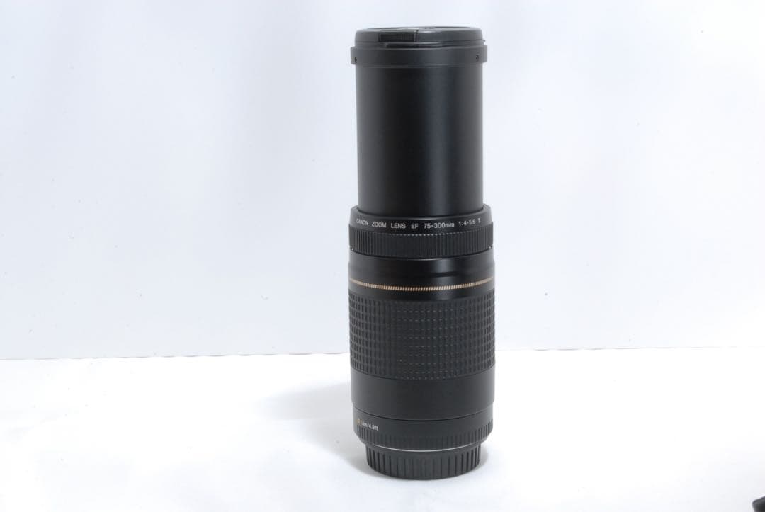 ⭐️キャノン⭐️フード付き⭐️ CANON EF 75-300mm II USM 望遠