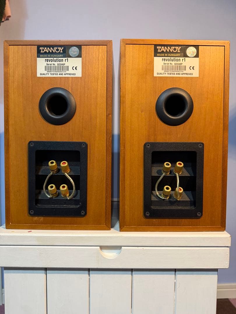 スピーカー・ウーファー zappamanTANNOY revolution r1