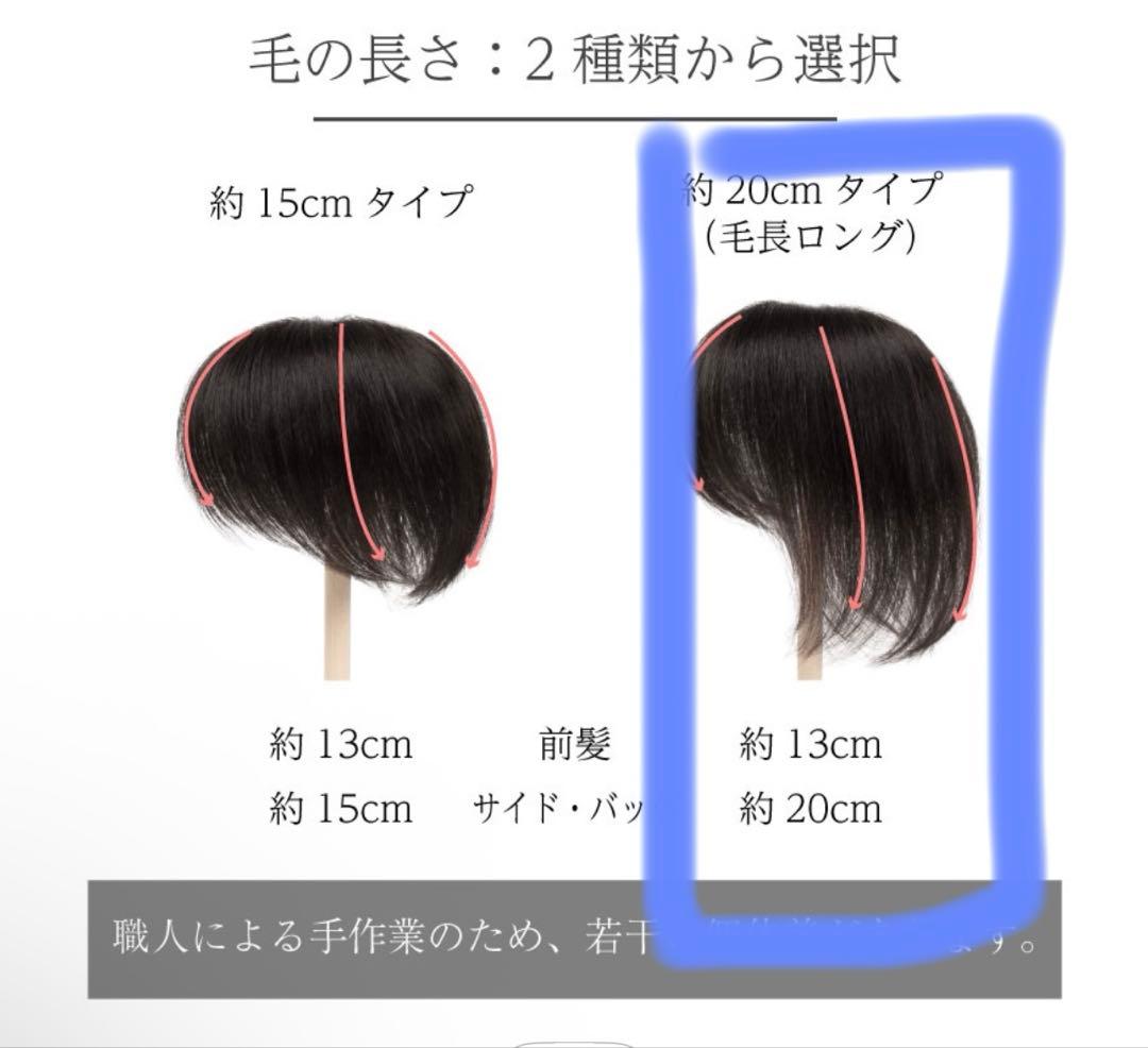 Reju リージュ 部分ウィッグ 人毛100% かつら 栗色 茶色 20cm