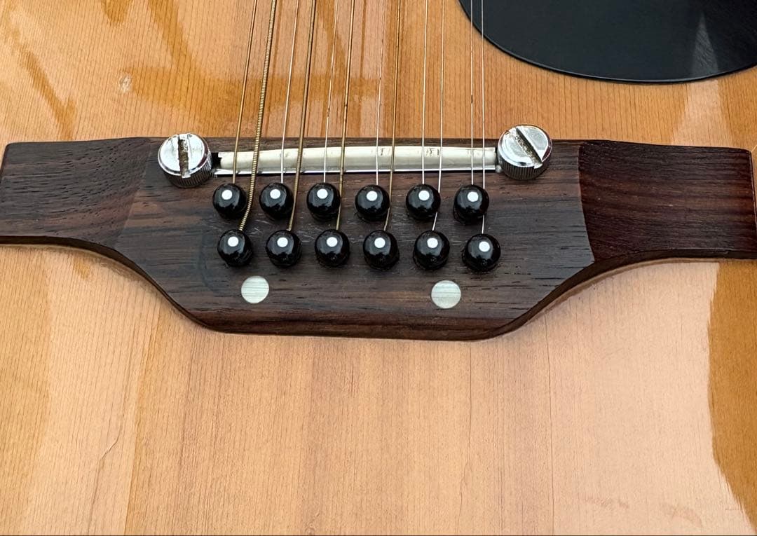 【レア】ARIA ビンテージ 12弦 アコースティックギター