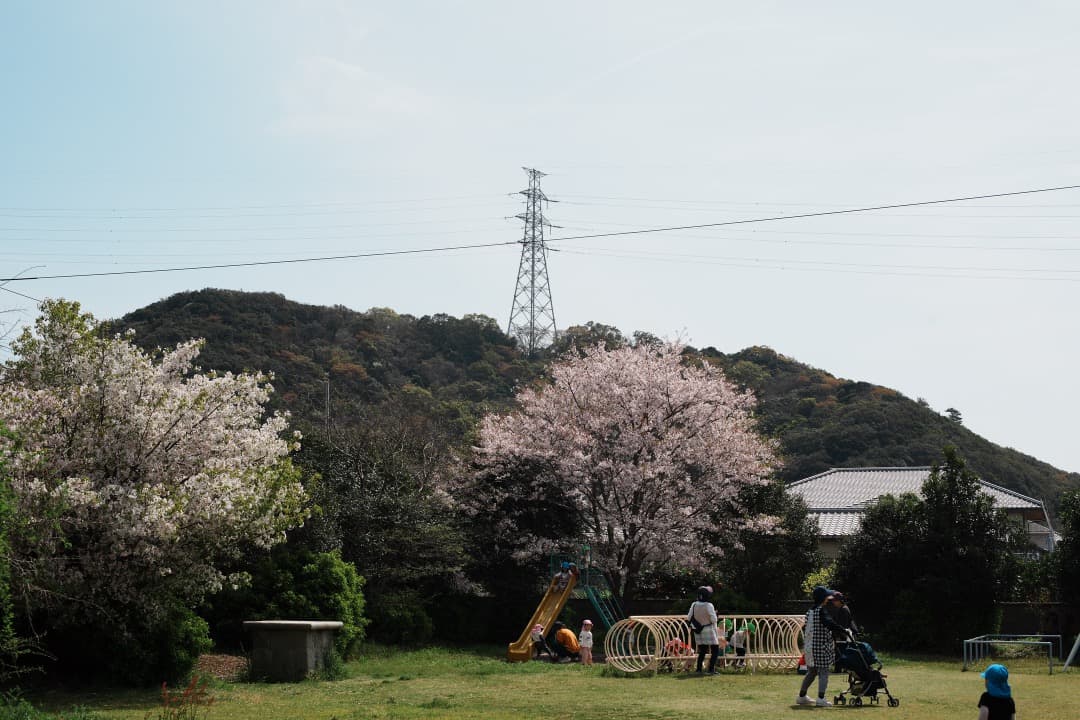 【極美品】動作◎ ニコン　Ai Nikkor 50mm F1.4 727