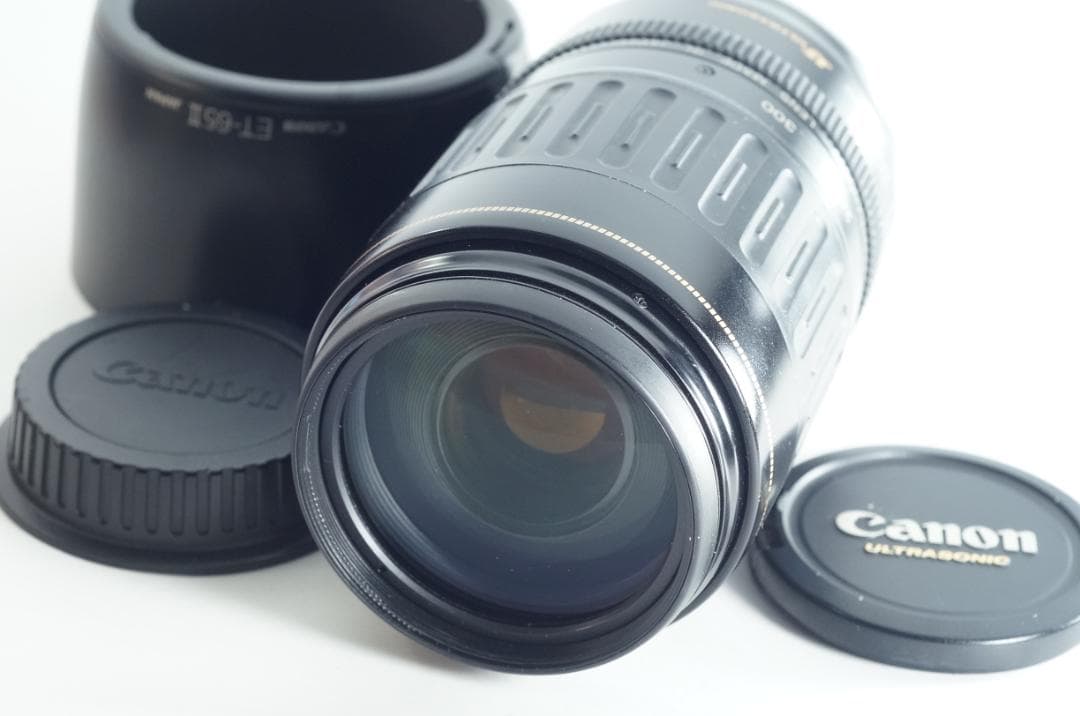 遠く 望遠レンズ Canon EF100-300mm F4.5-5.6 USM