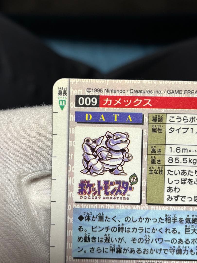 ポケモンカード カードダス カメックス バンダイ 緑