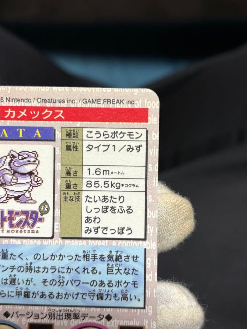 ポケモンカード カードダス カメックス バンダイ 緑