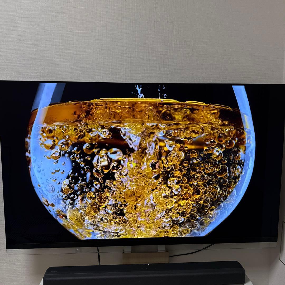 LG OLEDテレビ 55インチ OLED55E9PJA