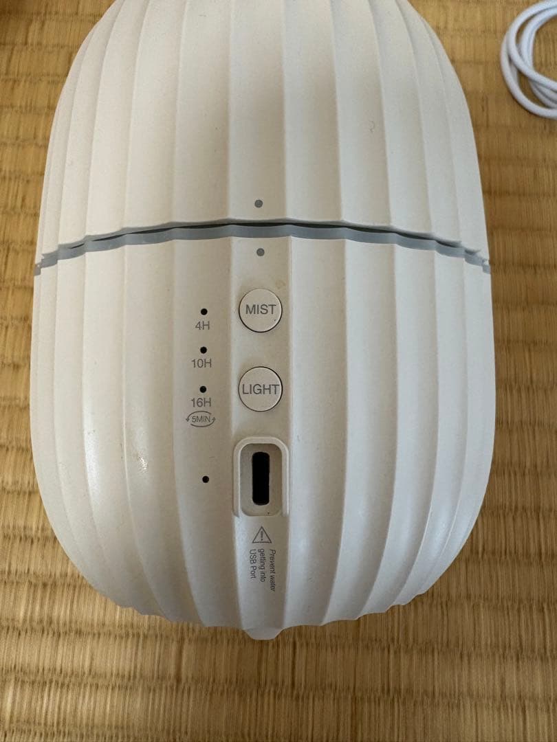 ヤングリビング　カクタス　アロマディフューザー