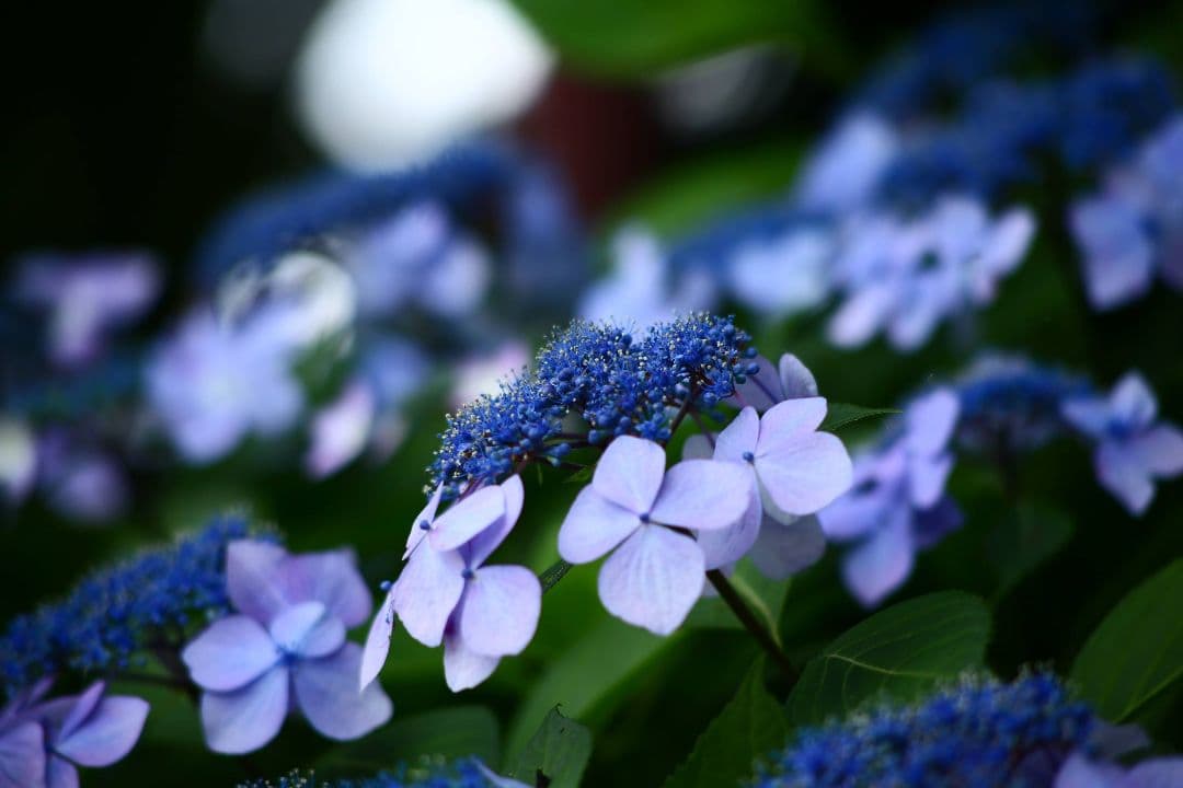 キヤノン（CANON） EF 70-210/3.5-4.5 USM ズームレンズ