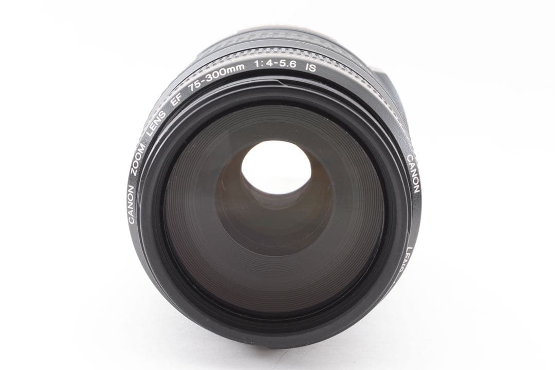 動作品/キャノン/Canon EF 75-300㎜F4-5.6 IS USM
