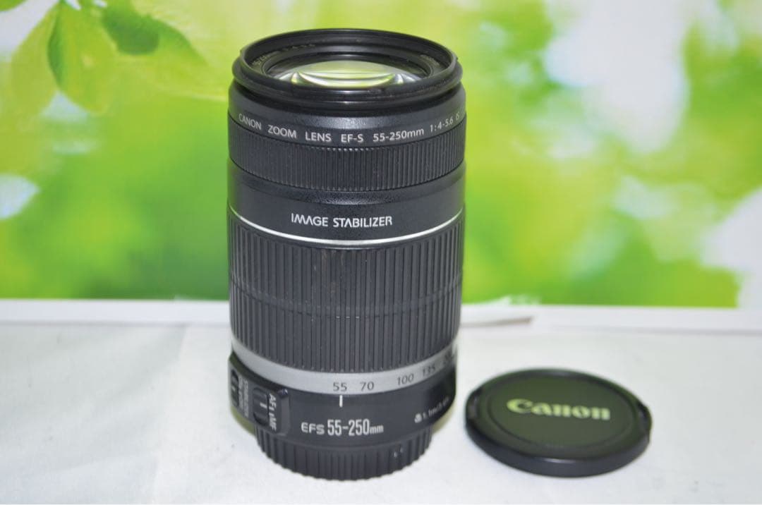 キャノン Canon EF-S 55-250mm IS☆お手軽望遠